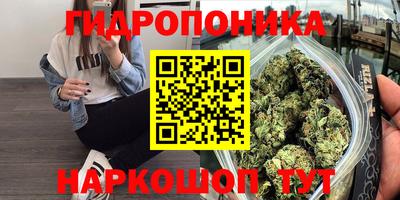индика Конаково