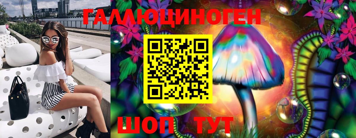 Псилоцибиновые грибы Psilocybe Кизляр