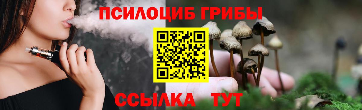 Кизляр  Псилоцибиновые грибы мицелий  Вход с VPN 