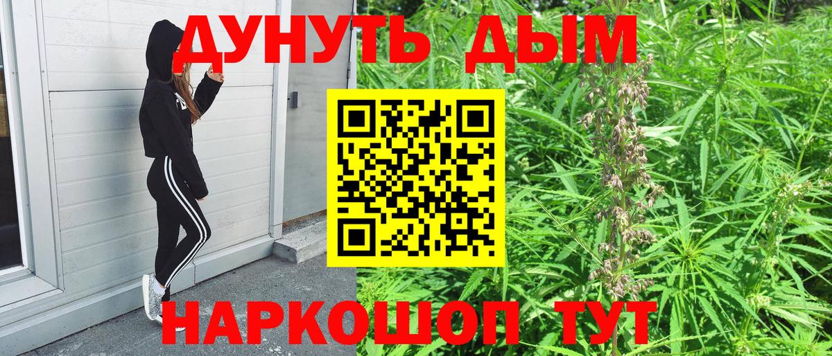 Бошки марихуана OG Kush Кизляр